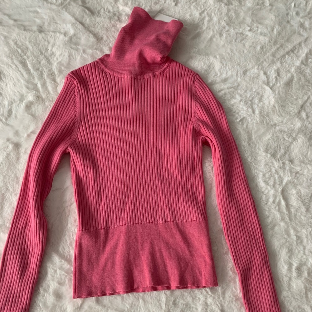 Pink Zara Ribbed Turtleneck